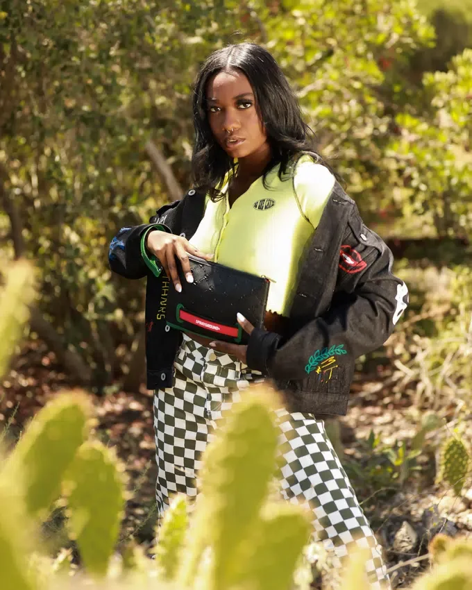BOLSO CROSSOVER DINERO