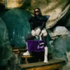 BOLSO FURZILLA SHARK (MORADO) Tote