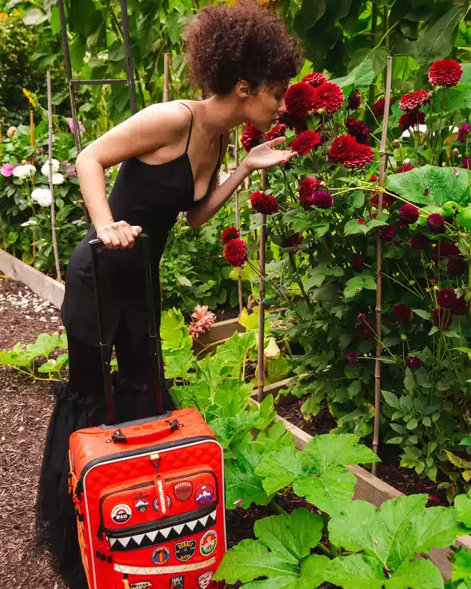 MALETA DE CABINA JETSETTER «THE GLOBAL EXPEDITION»