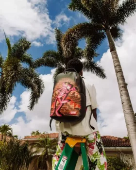 Mochila DLXR «CAN’T CATCH ME» de la Pantera Rosa