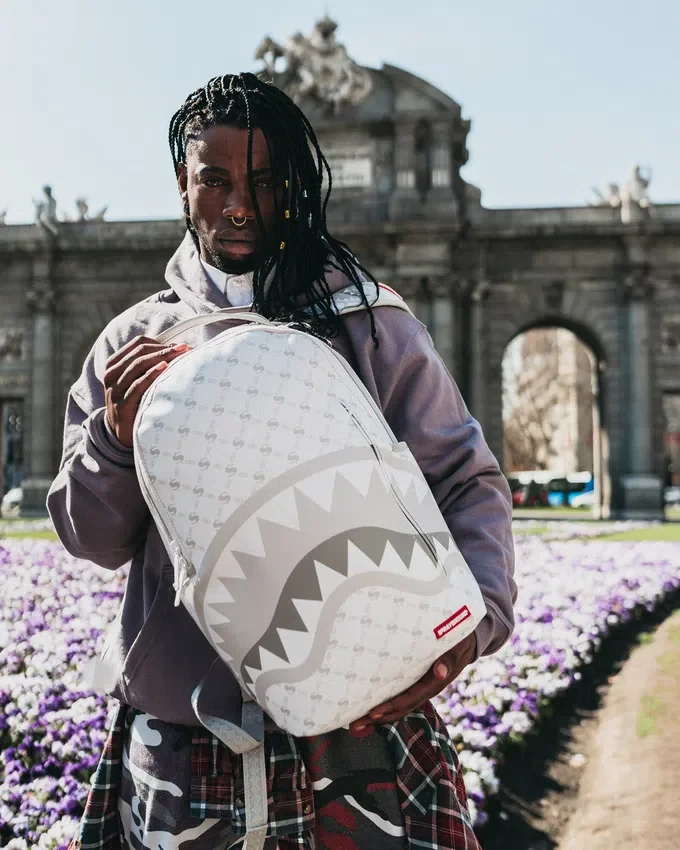 Mochila «MONEY PATTERN POWDER» (DLXV)