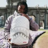 Mochila «MONEY PATTERN POWDER» (DLXV)