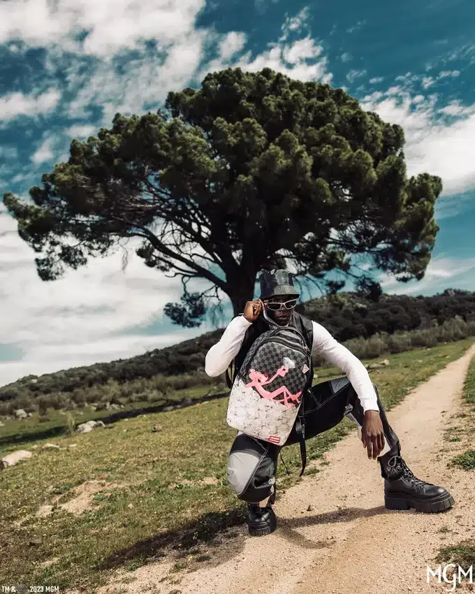Mochila «ONE IN A MILLION» DE LA PANTERA ROSA (DLXV)