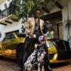 Mochila «Paint the Shark Gold» de Richie Rich
