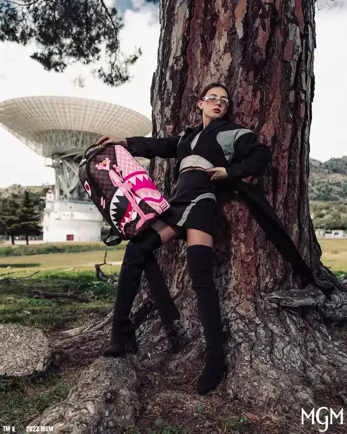 Mochila «PINK PANTHER THE REVEAL» (DLXV)