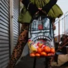 Mochila TRANSPARENTE - MONEY CHOMP