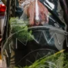 Mochila TRANSPARENTE - SHARK CENTRAL
