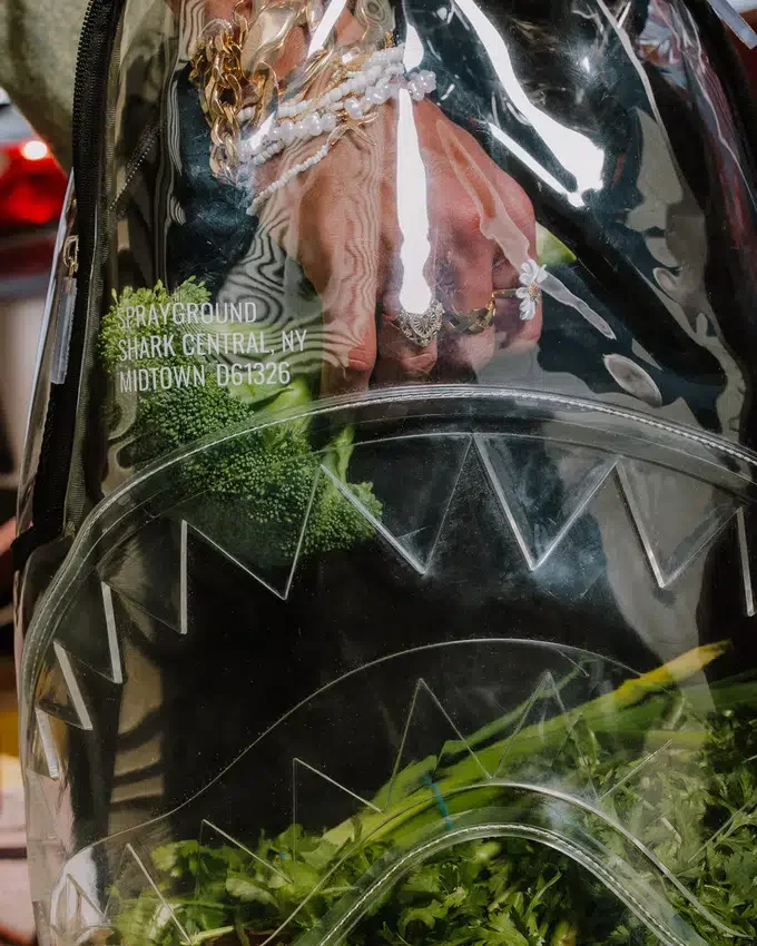 Mochila TRANSPARENTE - SHARK CENTRAL