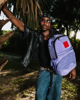 ¡¡¡NOOOO!!! UNA MOCHILA REVERSIBLE: DE TERCIOPELO MORADO A LA MOCHILA «OG SHARKS IN PARIS»