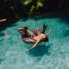 SHARK STASH - FLOTADOR PARA FIESTAS EN LA PISCINA